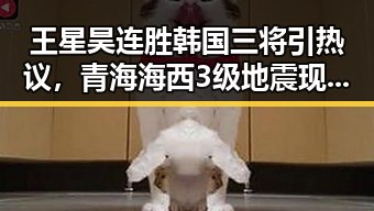 王星昊连胜韩国三将引热议，青海海西3级地震现场救援有序展开