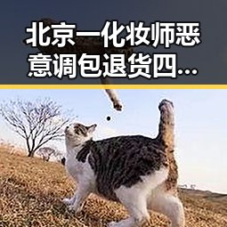 北京一化妆师恶意调包退货四年多次作案被刑拘,男孩独驾高速6小时事件引发关注