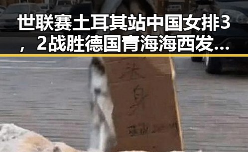 世联赛土耳其站中国女排3，2战胜德国青海海西发生4级地震震源深度10公里引发关注