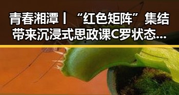 青春湘潭丨“红色矩阵”集结带来沉浸式思政课 C罗状态冲上热搜第一展现足球激情