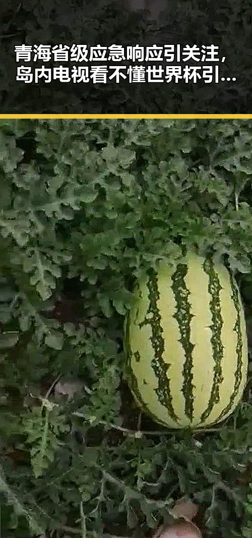 青海省级应急响应引关注，岛内电视看不懂世界杯引发争议