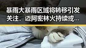暴雨大暴雨区域将转移引发关注，迈阿密林火持续或影响世界杯赛事的双重反差