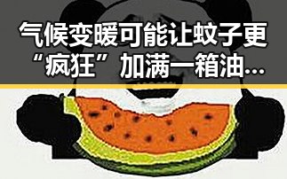 气候变暖可能让蚊子更“疯狂”加满一箱油今晚24时油价下调节省20元
